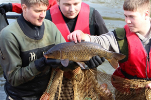 Cobham-Lakes-Fish-Survey-2015-4